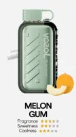  НСЖ VOZOL GEAR ICE&SWEET 56000 - Дынная Жвачка фотография небольшая 1табачный.рф