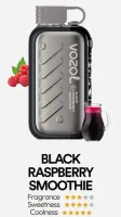  НСЖ VOZOL GEAR ICE&SWEET 56000 - Черносмородиново-Малиновый Смузи фотография небольшая 1табачный.рф