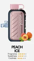  НСЖ VOZOL GEAR ICE&SWEET 56000 - Персик со Льдом фотография небольшая 1табачный.рф