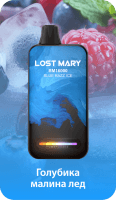  НСЖ LOST MARY  ВМ  Голубика Малина Лед ( 16000зат.) фотография небольшая 1табачный.рф