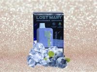 НСЖ LOST MARY Ледяная Черника ( 4000зат.) фотография небольшая 1табачный.рф